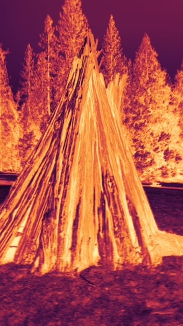 A wooden structure and surrounding trees rendered in glowing orange and violet